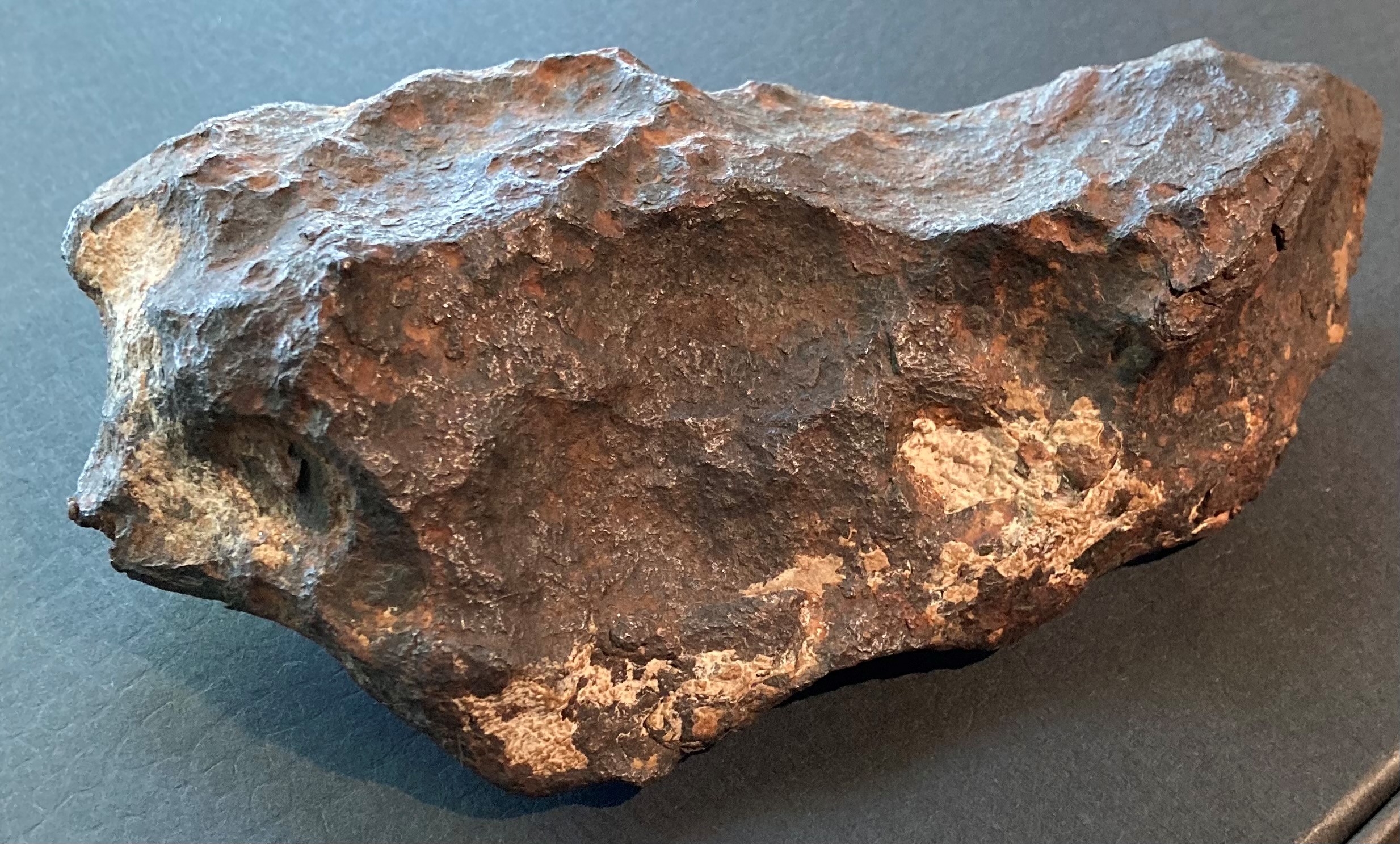 Gillespie Museum iron meteorite specimen